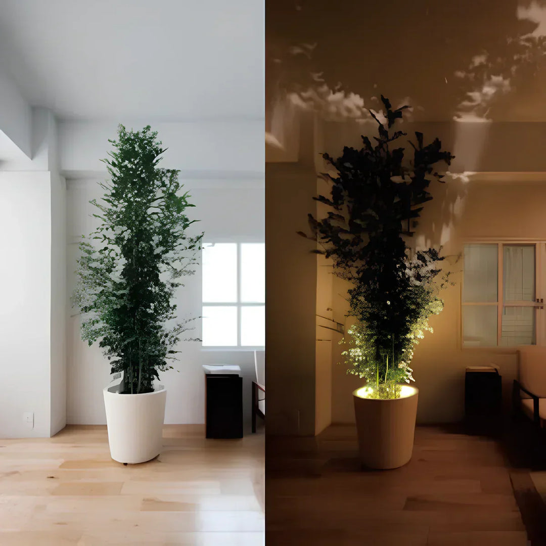 Lisslune | Wireless LED Spotlight - LumaSpot
