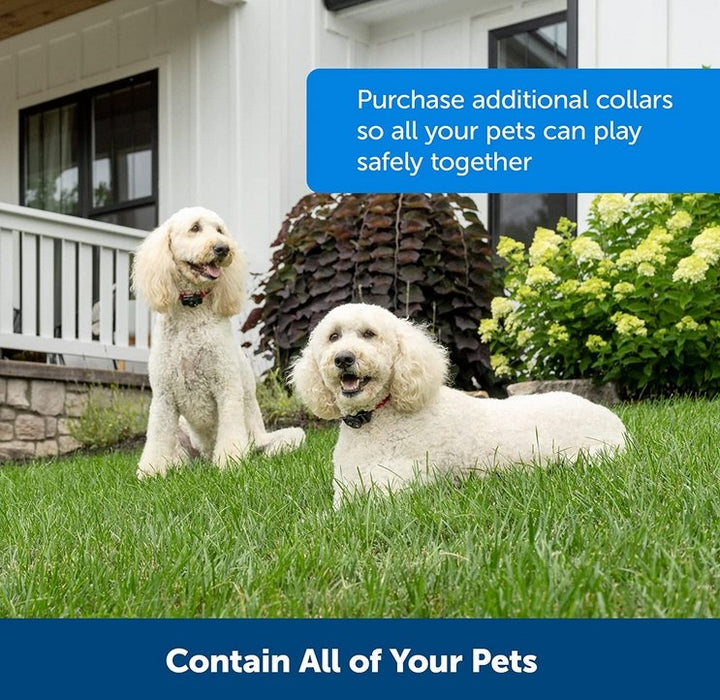 Lisslune | Wireless Dog Fence System – Rechargeable Waterproof Collar for Safe Boundaries