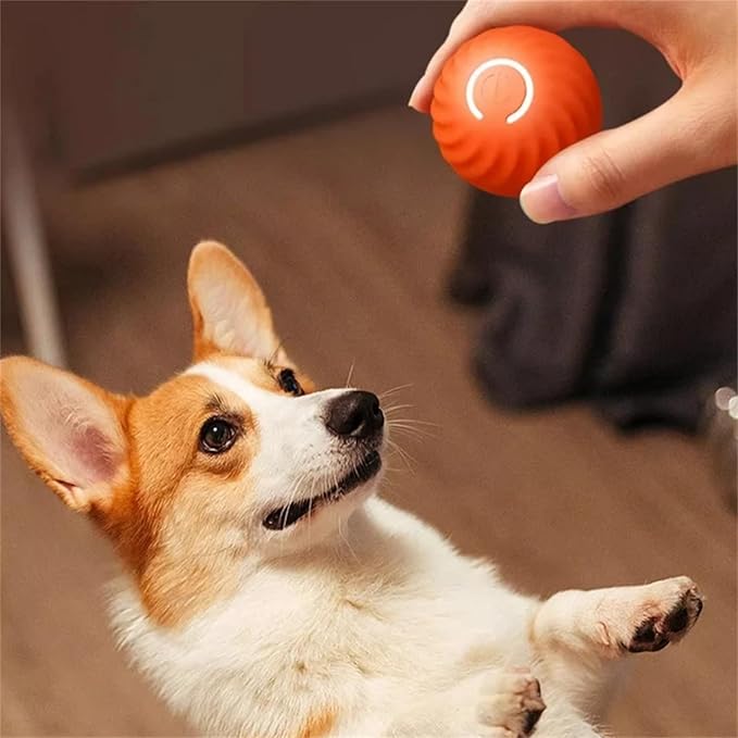 Lisslune | Interactive Rechargeable Jumping Ball Toy for Dogs