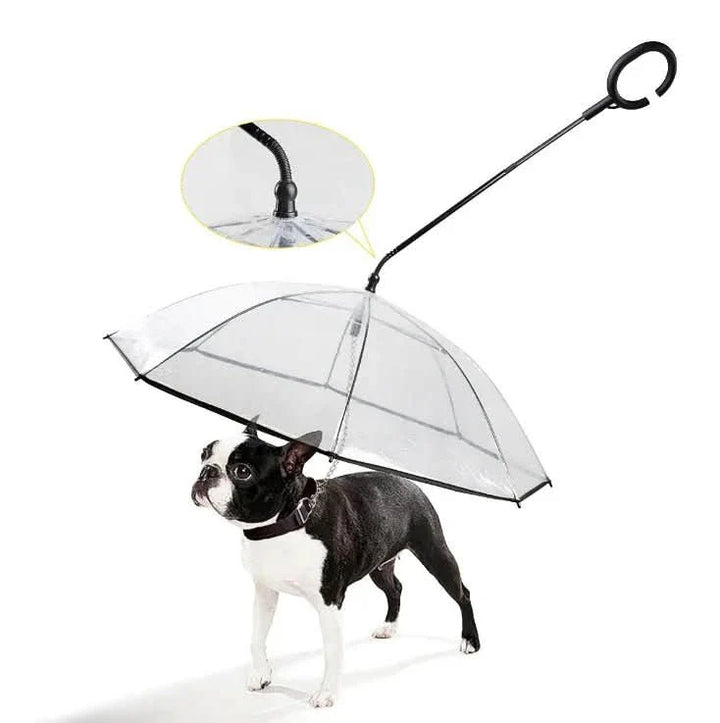 Lisslune | Transparent Dog Umbrella for Dry Walks in the Rain